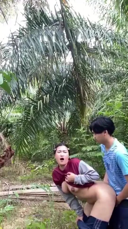chau-ho-nung-cac-them-du-lai-xin-di-ut-du-ai-de-di-dat-ra-vuon-vang-va-cho-du-that